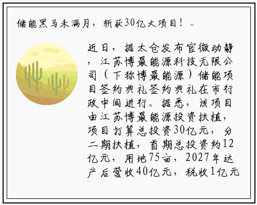 储能黑马未满月，斩获30亿大项目！_乐鱼网页登录入口官网